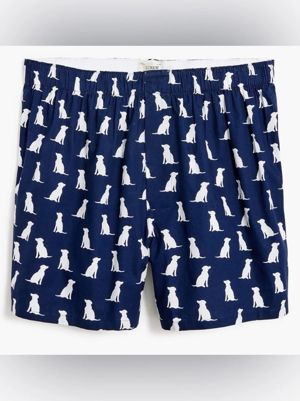 J.CREW Woven Boxer Shorts in Labs Print